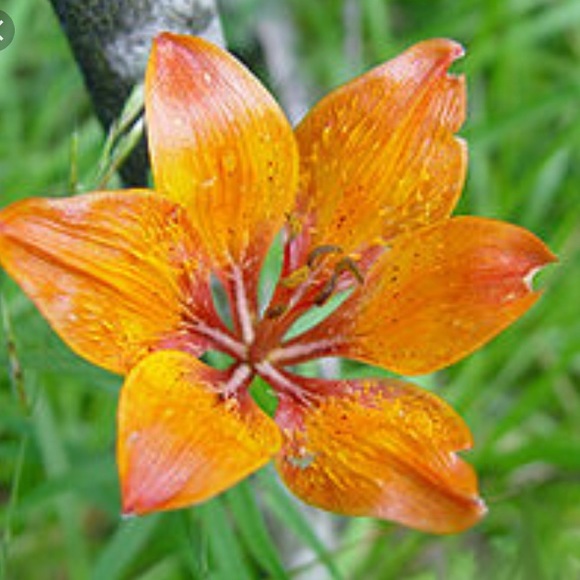 ealexander0422